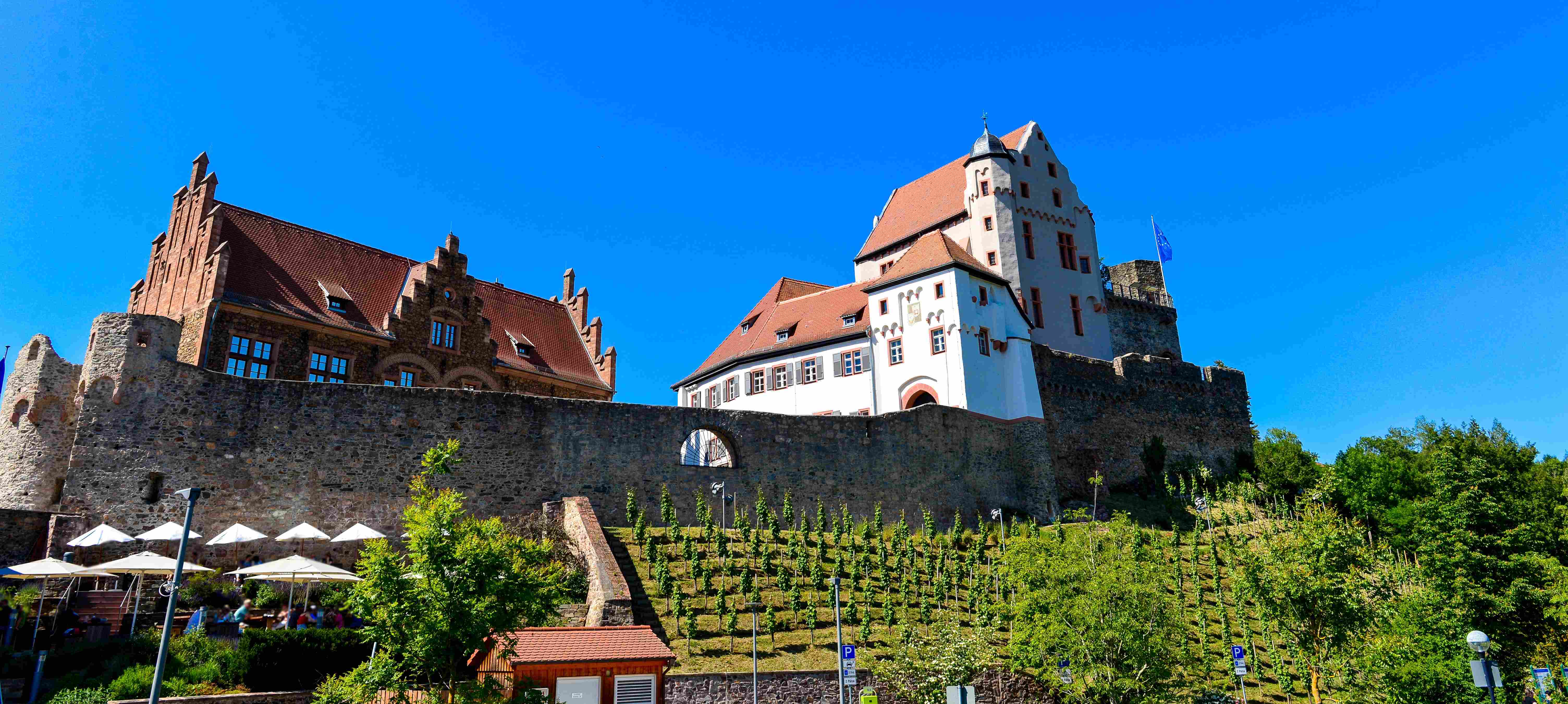 Burg Alzenau