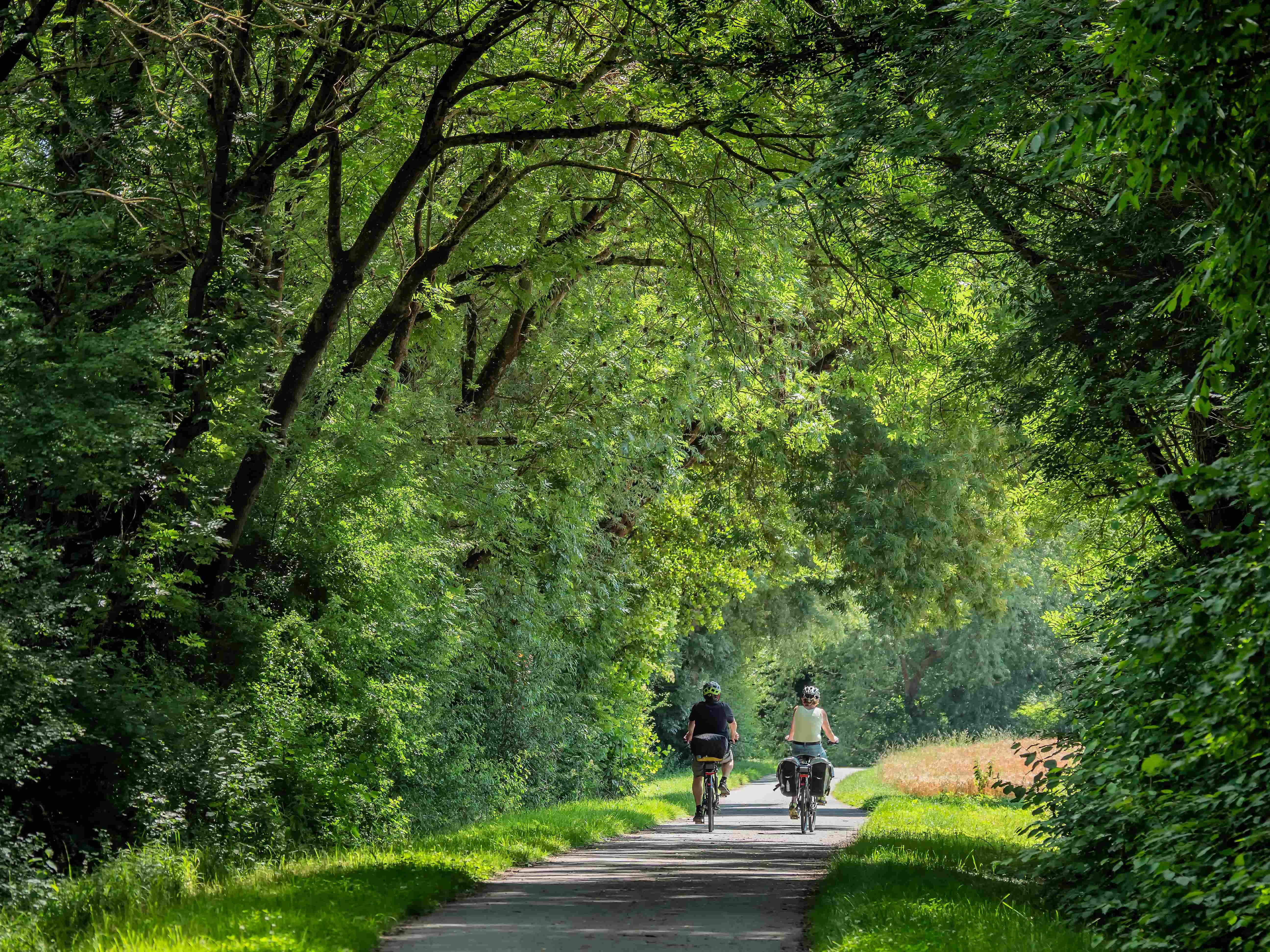 Radfahren im Grünen
